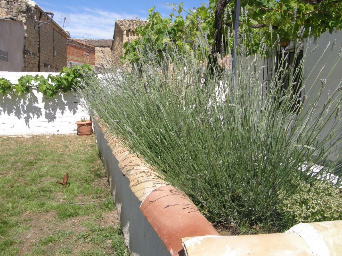 Casa Rural Carino Armananzas Extérieur photo